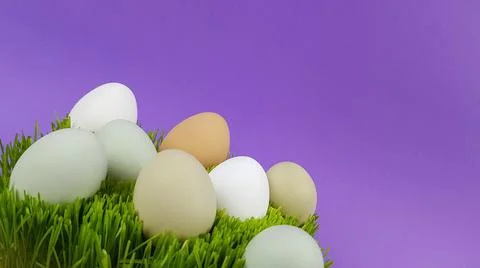 Easter eggs are multicolored on the green natural grass. background backgroun Stock Photos