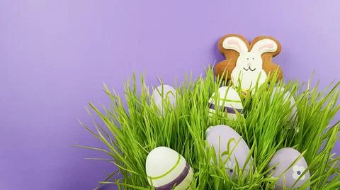 Easter eggs are trending colors on a lilac background. Stock Photos