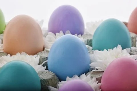 Easter eggs background Stock Photos