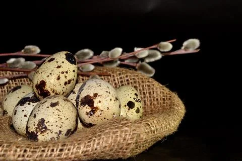 Easter eggs in bagging and willow branches on black background Stock-Fotos