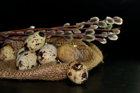 Easter eggs in bagging and willow branches on black background Stock-Fotos