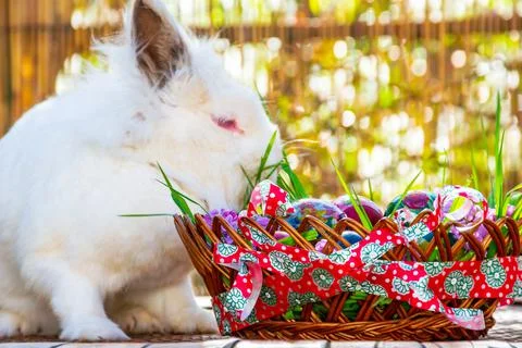 Easter eggs basket and a bunny aside Stock Photos