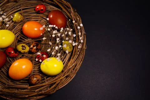 Easter eggs in a basket on black background Stock Photos