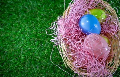 Easter eggs on a basket with grass and green background for happy easter cele Stock Photos