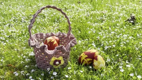Easter Eggs in basket grass spring flowers bloom  Stock Footage 307906307