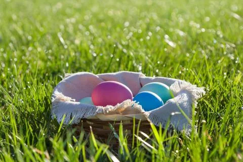 Easter eggs in a basket Stock Photos