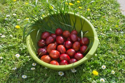 Easter eggs in basket Stock Photos