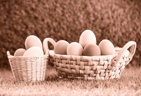 Easter eggs in the basket Stock Photos