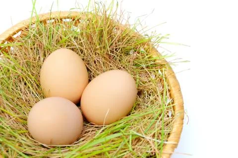Easter eggs in basket Stock Photos