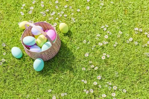 Easter eggs in basket placed on gassy lawn in park Stock Illustration