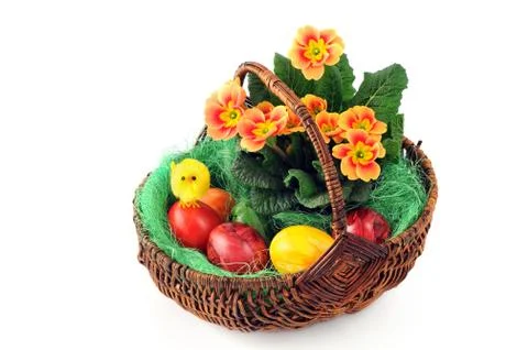 Easter eggs in basket with primula and yellow chicken Stock Photos