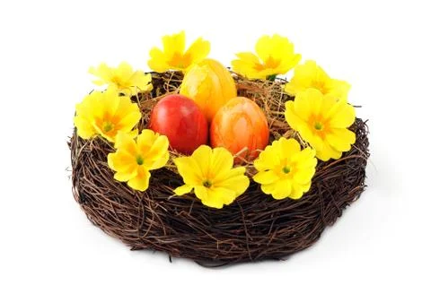 Easter eggs in basket with primula flower heads. Foto stock