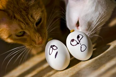 Easter Eggs Before The Big Day Stock Photos