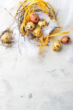 Easter Eggs in bird Nest. Quail easter eggs with feathers in nest on white table Stock Photos