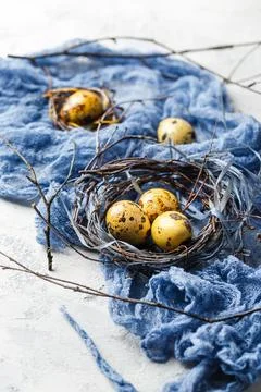 Easter Eggs in bird Nest. Quail easter eggs in nest on white table with cop.. Foto stock