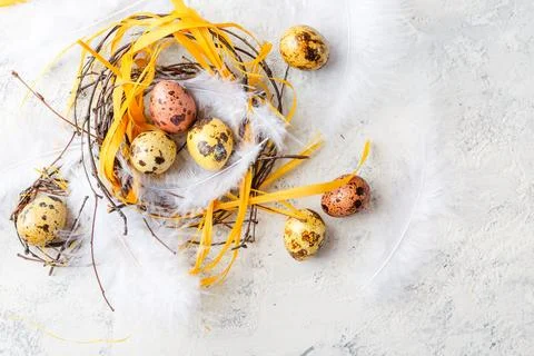 Easter Eggs in bird Nest. Quail easter eggs with feathers in nest on white .. Stock-Fotos