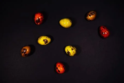 Easter eggs on black background Stock Photos