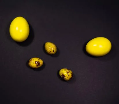 Easter eggs on black background Stock Photos