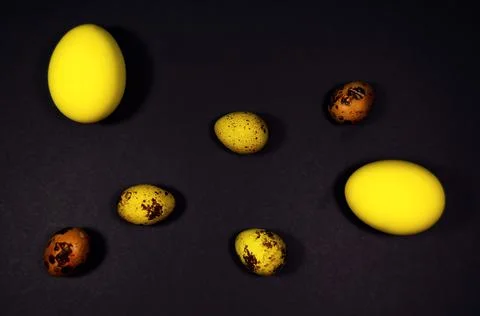 Easter eggs on black background Stock Photos