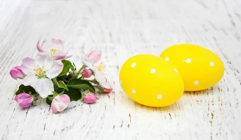 Easter eggs with blossom Stock Photos