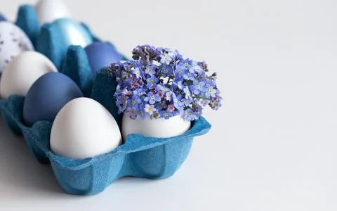 Easter eggs in a blue cardboard egg box on white background. Flower bouquet i Stock Photos