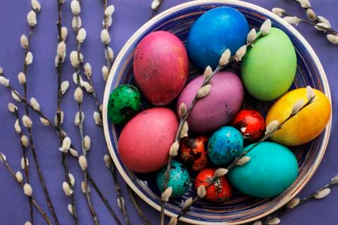 Easter eggs in blue plate with willow twigs on purple background Stock Photos