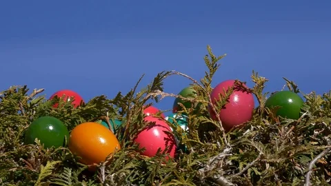 Easter eggs with blue sky background Stock Footage 73462611
