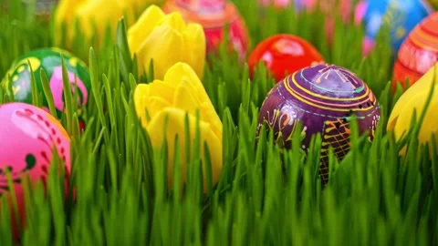 Easter eggs in bold, hand-painted designs lie among green grass and tulips... Stock Footage 301566045