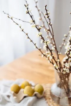 Easter eggs, branches with white cherry blossoms Stock Photos
