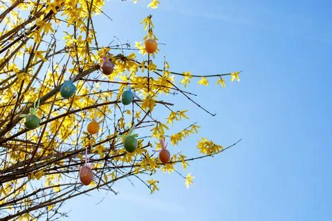 Easter eggs on a bright flowering tree Foto stock
