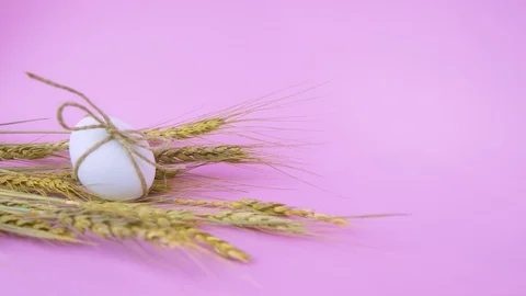 Easter eggs on a bright pink background. Stock Footage 122289194