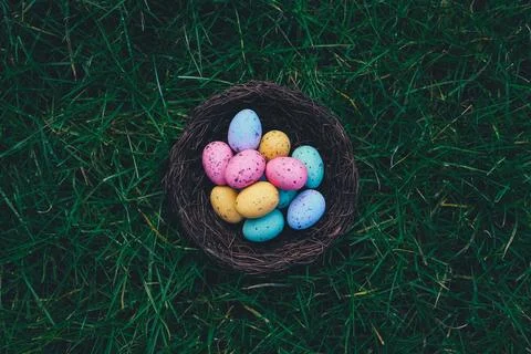 Easter Eggs on Brown Nest Stock Photos