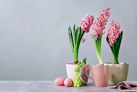 Easter eggs with bunny and spring flower pots on lilac gray Stock Photos