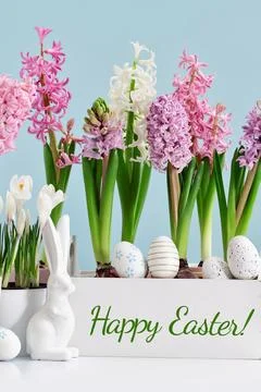 Easter eggs bunny with many spring flower pots on blue Stock Photos