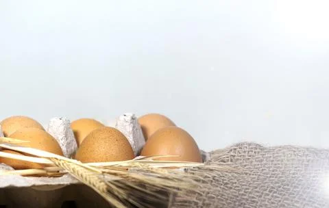 Easter Eggs on an burlap sack cloth on bright background, wheat spikelet Stock Photos