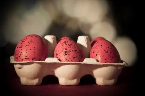 Easter Eggs in a Carton Stock Photos