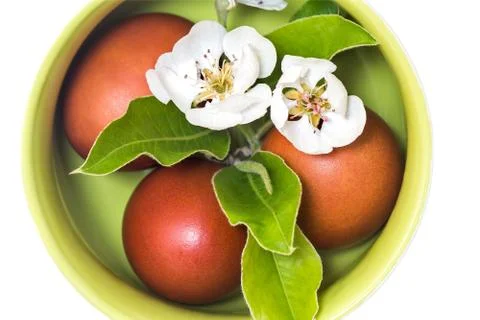 Easter eggs in a ceramic vase on a white background. Stock Photos