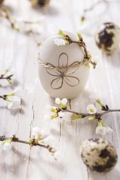 Easter eggs on with cherry branch. Easter decoration with quails eggs Stock Photos