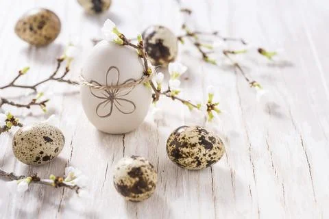 Easter eggs on with cherry branch. Easter decoration with copy space Stock Photos