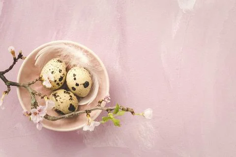 Easter eggs on with cherry branch in pink tone. Easter decoration in vintage Stock Photos