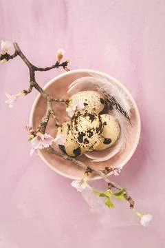 Easter eggs on with cherry branch in pink tone. Easter decoration in vintage Stock Photos