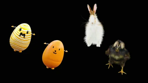 Easter, eggs, chick, rabbit, with Alpha matte. Stock Footage 170445411