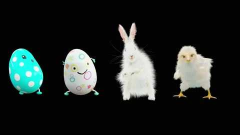 Easter, eggs, chick, rabbit, with Alpha matte. Stock Footage 170445423