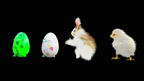 Easter, eggs, chick, rabbit, with Alpha matte. Stock Footage 170445568