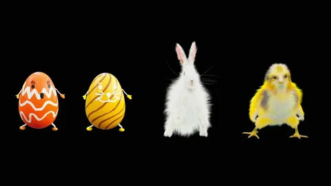 Easter, eggs, chick, rabbit, with Alpha matte. Stock Footage 170445587