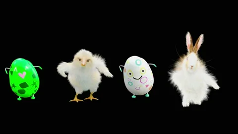 Easter, eggs, chick, rabbit, with Alpha matte. Stock Footage 170445851