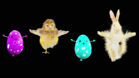 Easter, eggs, chick, rabbit, with Alpha matte. Stock Footage 170445992