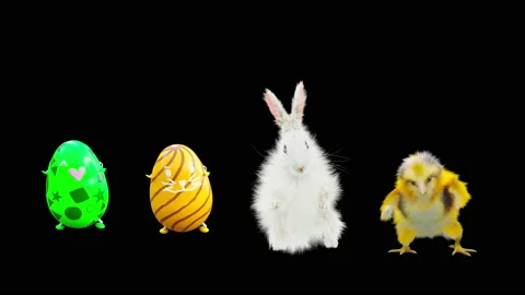 Easter, eggs, chick, rabbit, with Alpha matte. Stock Footage 171468229