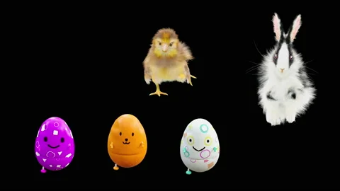 Easter, eggs, chick, rabbit, with Alpha matte. Stock Footage 172105410