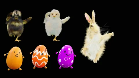 Easter, eggs, chick, rabbit, with Alpha matte. Stock Footage 172429193